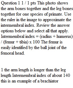 4.17 Lab Exercise